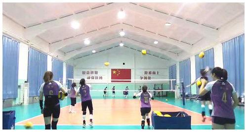 天津女排爆料视频最新,揭秘幕后训练与备战细节